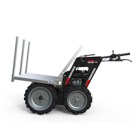 Camion benne amphibie en vente chaude sur le marché autrichien, fabriqué par OEM