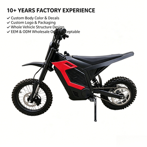 Motocicleta Eléctrica Todoterreno de 4000W con Motor Central, 60V, 70KM/H de Alta Velocidad - Product Image 1