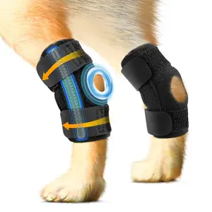 撕裂ACL CCL犬狗腿支架的短后腿飞杆支架后腿狗膝盖支架