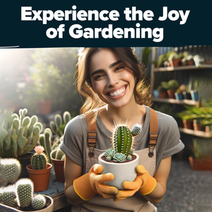 Kit de démarrage Premium Home Grown Succulent Cactus 4 pots de jardinière carrés plateaux d'égouttement mélanger le sol parfait bricolage cadeau <span class=keywords><strong>pour</strong></span> les amateurs de plantes - Product Image 5