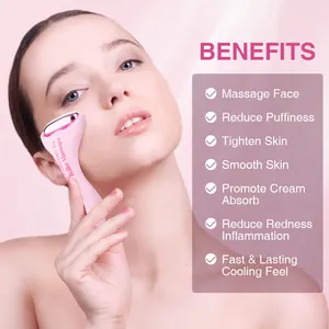 OEM/ODM 2024 masaje de belleza antiarrugas herramientas para el cuidado de la piel rodillo de hielo de congelación facial para enfriamiento de la piel facial rodillo de hielo facial