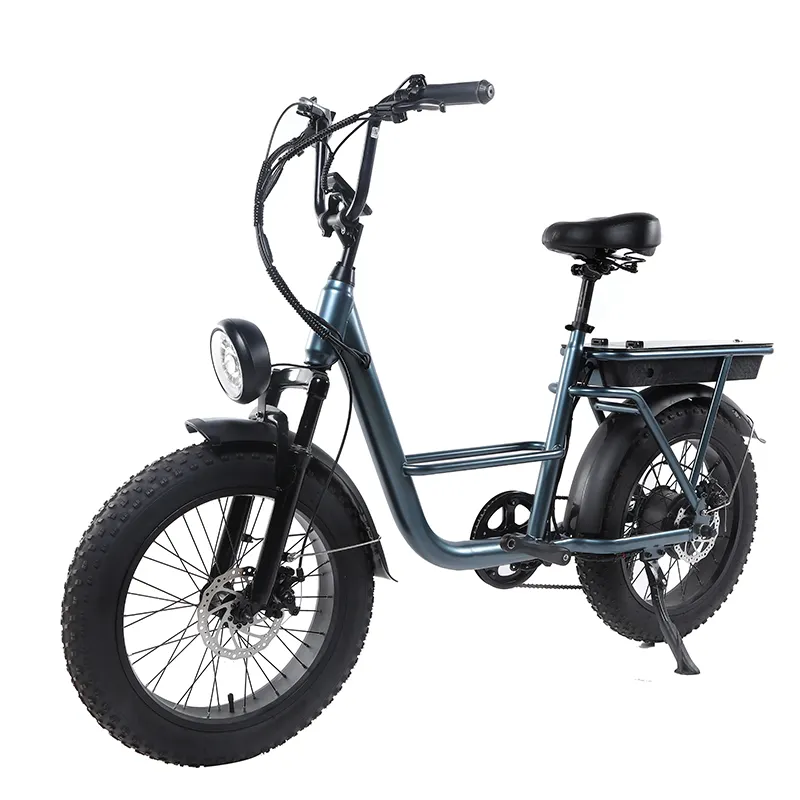 עיצוב מיוחד חדש ebike 20 אינץ 'עבור fisher מכירה חמה mtb simano 7 מהירות אישית mtb