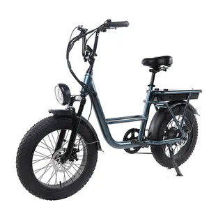 Mới thiết kế đặc biệt Ebike 20 inch cho Fisher nóng bán MTB Shimano 7 tốc độ tùy chỉnh MTB Ebike 26 inch có thể gập lại Ebike 48V