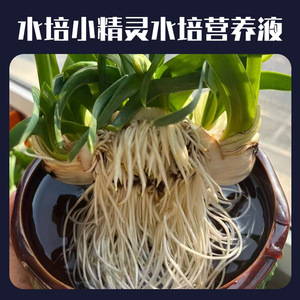Vibrant Little <b>Elf</b> Hydroponic Plant Nutrient Solution 80ml Liquid For Indoor Plants - Product Image 5