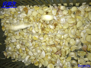 2020 the latest optical peeled garlic sorting machine - Product Image 3