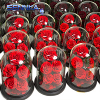 Vente en gros de roses séchées conservées dans un dôme en verre pour la décoration de mariage, la fête des mères