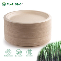 Plateau et assiette biodégradables en bagasse de canne à sucre, jetables, compostables, écologiques, sans danger pour les aliments, pour les fêtes et le camping