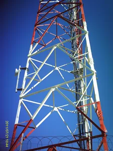 Low Price 30m Galvanized Antenna Mast Mountings Triangular Radio Telecom Tower