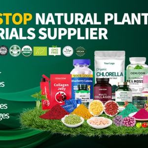 Capsules d'extrait de Moringa Antioxydant Feuille de Moringa Énergie quotidienne Soutien immunitaire Favoriser le sommeil Complément énergétique Complément alimentaire - Product Image 6