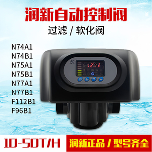 Vanne de régulation automatique Runxin F65P1 DN25 filetée pour filtre à eau - Product Image 5