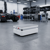 AMR de levage automatique de charges lourdes pour les centres d'expédition e-commerce et les usines de fabrication de détail, avec une puissance de 1000W