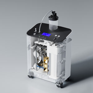 Fabriek Directe Levering Medische Kwaliteit <span class=keywords><strong>3l</strong></span> Zuurstofconcentrator | Draagbare O2-apparatuur Voor Ziekenhuis-, Kliniek-En Thuistherapie - Product Image 5