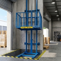 Monte-charge hydraulique à chaîne sur rail de guidage 220V 500kg, télécommande électrique, capacité 10m, certifié CE, modèle de levage SJD
