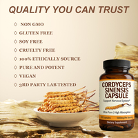 Capsules de Cordyceps Sinensis de haute qualité, marque privée OEM, pour améliorer la fonction respiratoire et soutenir la santé des reins