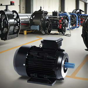Moteur asynchrone triphasé 0,75 CV 0,25 kW avec vitesse de 1500 tr/min - Product Image 4
