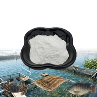 Bétaïne HCL 98% en poudre de qualité alimentaire en gros, additif alimentaire favorisant la croissance des animaux aquatiques