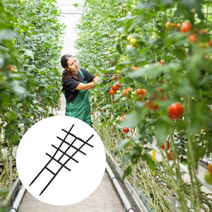 Khung hỗ trợ nhà máy, Khung leo nhựa, Khung leo nhựa lớn và nhỏ, lưới vườn cố định khung hoa - Product Image 2