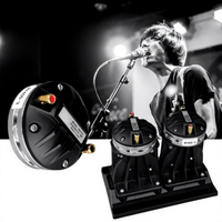 Haut-parleurs professionnels Line Array simples ou doubles de 8, 10 et 12 pouces, avec boîtier en bois, pour scène, grands espaces extérieurs et restaurants, avec télécommande