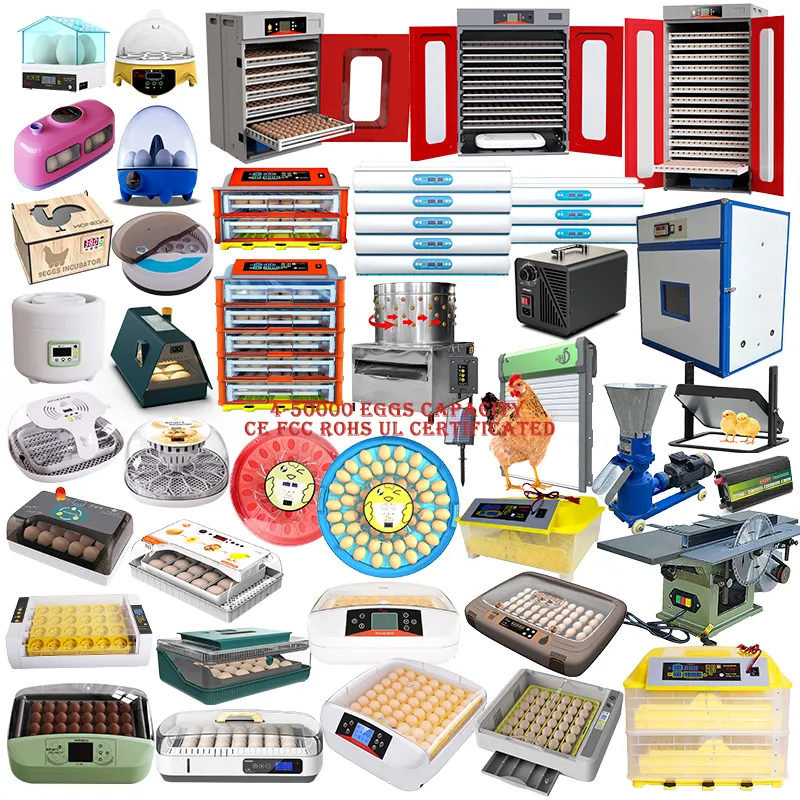 HHD Mini Fully Automatic Solar Chicken Egg Incubators Hatching Machine Brooder for 24 100 To 300 400 500 1000 10000 Incub Egg
