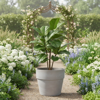 Support de plante artificielle grand format pour intérieur/extérieur, forme conique créative en fibre de verre, écologique, drainage vintage, pour sol – Vente chaude