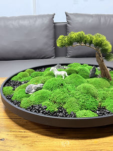 Taille libre <span class=keywords><strong>Mousse</strong></span> <span class=keywords><strong>Et</strong></span> <span class=keywords><strong>Lichen</strong></span> <span class=keywords><strong>Mousse</strong></span> Naturelle Art Décoration Conservée Stabilisée <span class=keywords><strong>Mousse</strong></span> Pot De Fleurs Modèle Maison Table Ornements - Product Image 3