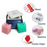 VPU Médical Chaîne Du Froid Vaccin Transport Médical Glacière Vaccin Transporteur Boîte Glacière Avec Panneau D'isolation Sous Vide
