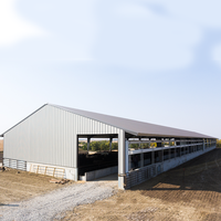 Estructuras de Acero Prefabricadas Modulares Ligeras, Establos Prefabricados para Caballos, Ovejas, Cabras y Vacas, Edificio de Estructura de Acero de Alta Resistencia
