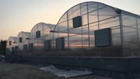 Woestijn Groentekas Voor Tomaat Komkommer Sla Aardbei Polycarbonaat Kas Voor Groenten
