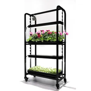 Indoor Farming Bonsai Garden Micro Greens Gemüse Vertikal Anbau Rack Mit Led Grow Lights