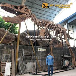Modelo de Esqueleto de Dinosaurio T-Rex de <span class=keywords><strong>Jurassic</strong></span> <span class=keywords><strong>World</strong></span>, Tamaño Grande, My Dino FDS015 - Product Image 2