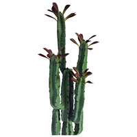 Plantation de printemps arbre Cactus pilier immortel sans épine roue céleste pilier combinaison plante en pot vieux tas succulent