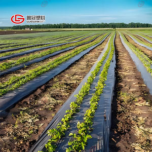 뜨거운 판매 멀치 필름 농업 멀칭 시트 농업 플라스틱 멀치 층 - Product Image 2