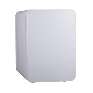 10L Beauty Fridge Cosmetic Fridges New Style Portable Mini Single Door Personal Refrigerator Glass door