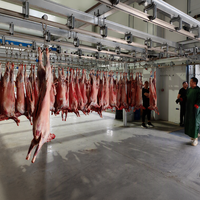 Projet de stockage frigorifique pour la viande de mouton, destiné aux abattoirs et aux usines de transformation de la viande