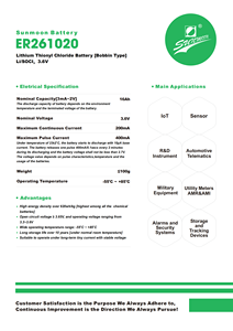 Er261020 3.6V 16000mAh CC Lithium thionyl clorua (Li-SOCl2) Pin cho điều khiển từ xa cho thiết bị nhà an ninh đồ chơi lưu trữ - Product Image 4