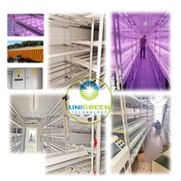 Système de conteneur hydroponique Agriculture verticale Serre agricole NFT Usine climatique intelligente Conteneur de semis de laitue