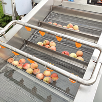 Volautomatische Industriële Ozon Bubble Groente En Fruit Wasmachine Wasmachine Dadels Fruit Apple Washer