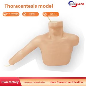 Equipo de Entrenamiento Quirúrgico Integral para Acceso Venoso Periférico, Modelos de Simulación para Inserción de Línea <span class=keywords><strong>PICC</strong></span> Venosa Central - Product Image 2