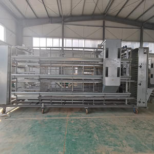 35000 cages en batterie de type H pour <span class=keywords><strong>poules</strong></span> pondeuses, équipement avicole automatique - Product Image 3