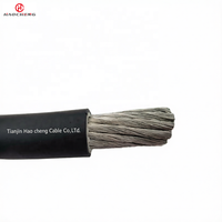 JBQ High Temperature Motor Lead Cable Oil Resistant Flexible 0.66/1.14kV for Industrial Motors