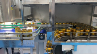 Máquina de Inspección Visual Automática de Alta Velocidad para Defectos en Botellas de Alimentos y Bebidas y Partículas Extrañas