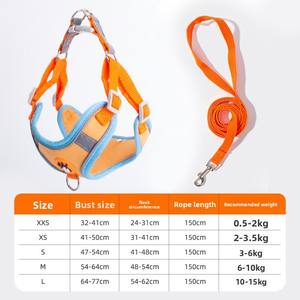 Set di Guinzaglio e Pettorina di Lusso per Cani, Senza Trazione, Regolabile, Imbottito in Poliestere, con Clip Riflettenti per Razze Piccole - Product Image 6