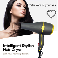 ODM fournisseur de sèche-cheveux Salon personnalisé sèche-cheveux professionnel infrarouge 1800W fabriqué en Chine