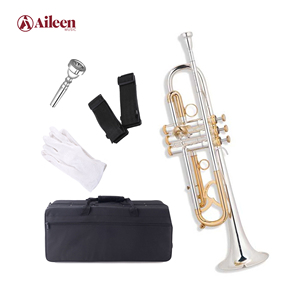 Trompeta Profesional TP-M410GS Lexington con Acabado en Oro y Plata - Product Image 1