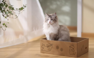 Kingtale Tùy Chỉnh Vật Nuôi Nhà Cung Cấp 5 Gói Trong 1 Mèo Scratch Pad Với Hộp Thích Hợp Cho Mèo Để Nghỉ ngơi Xay Móng Vuốt Và Chơi - Product Image 5