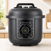 Autocuiseur Électrique Multifonctionnel Domestique OEM 6L 1000W avec Pot Intérieur Antiadhésif et Bouton Mécanique