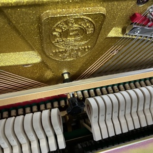 Pearl River Piano Wholesale Factory Direct Supply Quality Upright Pianos with Rich Tone and Stable Performance for Dealer - Product Image 5