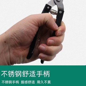 Guanglong Works Pruning <b>Shears</b> Stainless Steel Straight Head 50mm Garden <b>Tools</b> - Product Image 5