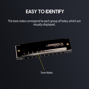 Harmonica <span class=keywords><strong>Diatonique</strong></span> Blues Harmonica Clé de C 10 Trous 20 Tons Blues <span class=keywords><strong>Harpe</strong></span> Orgue à Bouche Harmonica Coque en acier inoxydable - Product Image 5