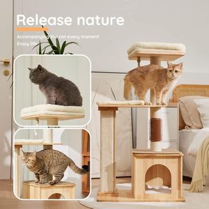 Arbre à chat naturel en bois massif pour grands/petits chats avec griffoir en sisal et <span class=keywords><strong>appartement</strong></span> - Product Image 5